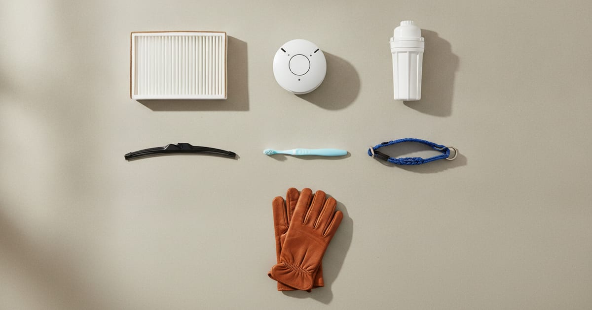 Home maintenance items laid out: a furnace filter, a smoke alarm, a water filter cartridge, a wiper blade, a toothbrush, a dog collar and work gloves